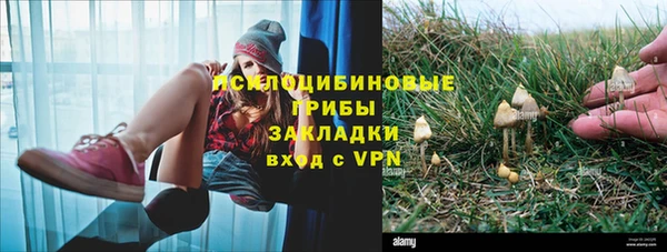 марихуана Баксан