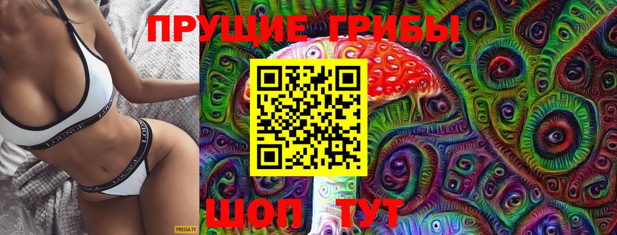 Реутов  Псилоцибиновые грибы Psilocybine cubensis  Вход с VPN 